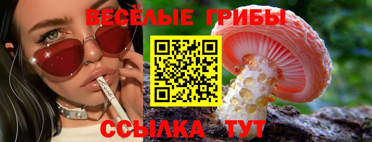Гурьевск  Псилоцибиновые грибы Magic Shrooms  Галлюциногенные грибы Magic Shrooms  Вход с VPN 